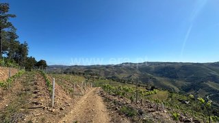 Land for sale in Sabrosa, Portugal — €220,000