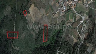 Terreno em Sabrosa