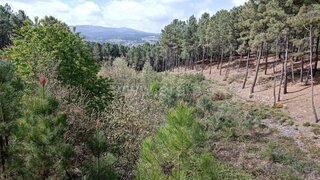 Land for sale in Chaves, Portugal — €25,000