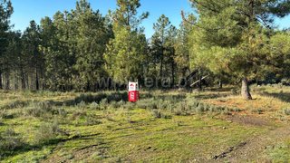 Land for sale in Murça, Portugal — €60,000