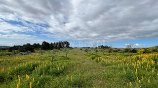 Land for sale in Valpaços, Portugal — €65,000