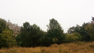 Land for sale in Vila Real, Portugal — €150,000