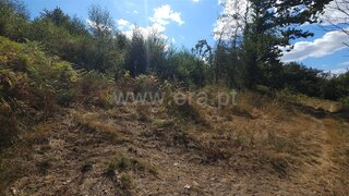 Land for sale in Montalegre, Portugal — €12,500