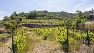 Land for sale in Alijó, Portugal — €35,000