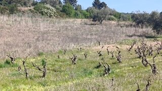Land for sale in Chaves, Portugal — €80,000