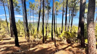Land for sale in Chaves, Portugal — €12,000