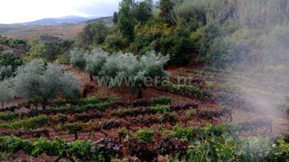 Land for sale in Valpaços, Portugal — €22,500