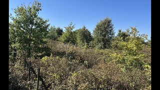 Terreno para venda em Peso da Régua, Portugal — 35 000 €