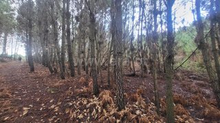 Land for sale in Chaves, Portugal — €10,000