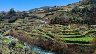 Land for sale in Santa Marta de Penaguião, Portugal — €70,000