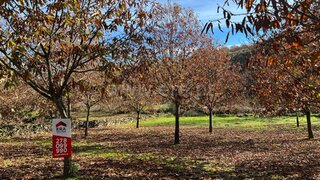 Land for sale in Valpaços, Portugal — €22,500