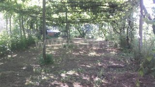 Land for sale in Mondim de Basto, Portugal — €71,500
