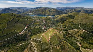 Land for sale in Sabrosa, Portugal — €585,000