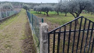 Terreno em Murça