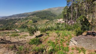 Land for sale in Peso da Régua, Portugal — €17,000