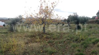 Land for sale in Murça, Portugal — €99,000