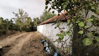 Land for sale in Nelas, Portugal — €55,000