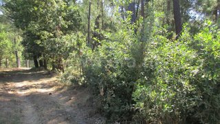 Terreno de 1816 m² em Viseu