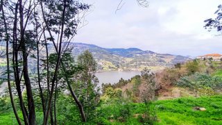 Land for sale in Resende, Portugal — €23,500