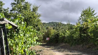 Land for sale in Tarouca, Portugal — €37,500