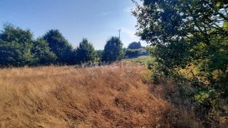 Land for sale in Santa Comba Dão, Portugal — €58,000