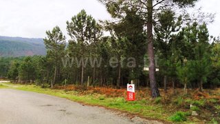 Land for sale in Castro Daire, Portugal — €22,500