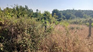 Terreno em Santa Comba Dão