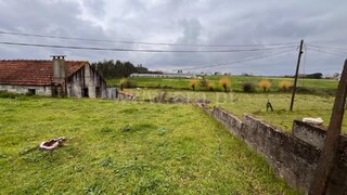 Land for sale in Santa Comba Dão, Portugal — €60,000