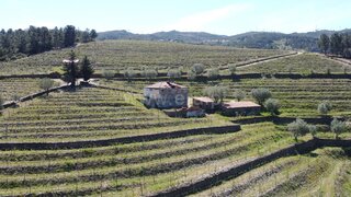 Land for sale in Tabuaço, Portugal — €800,000