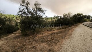Land for sale in Nelas, Portugal — €22,000