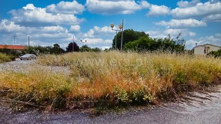 Land for sale in Nelas, Portugal — €50,000