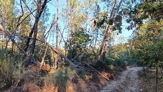 Land for sale in Penalva do Castelo, Portugal — €15,000