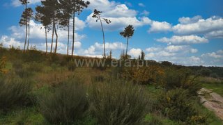 Land for sale in Nelas, Portugal — €19,900