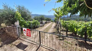 Land for sale in Tabuaço, Portugal — €28,000