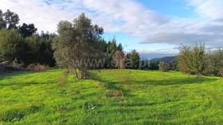 Land for sale in Tondela, Portugal — €65,000