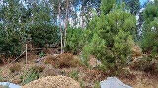 Land for sale in Tondela, Portugal — €80,000