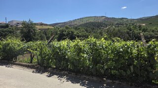 Land for sale in Tarouca, Portugal — €58,000