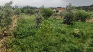Land for sale in Mangualde, Portugal — €13,000