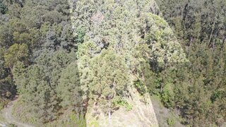 Terreno de 1776 m² em Viseu