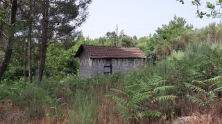 Land for sale in Tondela, Portugal — €26,000