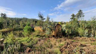 Land for sale in Mortágua, Portugal — €85,000