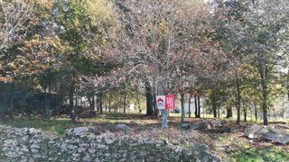 Land for sale in Sátão, Portugal — €68,000