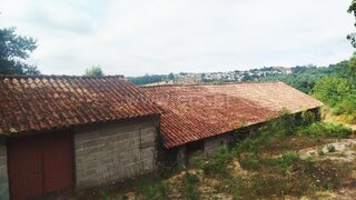 Land for sale in Santa Comba Dão, Portugal — €27,900