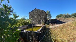 Land for sale in Carregal do Sal, Portugal — €20,000