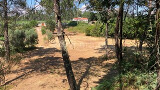 Land for sale in Mangualde, Portugal — €17,000