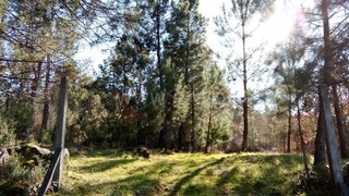 Terreno para venda em Mangualde, Portugal — 12 000 €