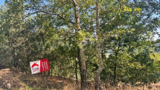 Land for sale in Carregal do Sal, Portugal — €37,000