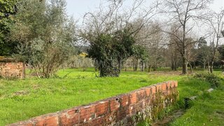 Land for sale in Tondela, Portugal — €140,000