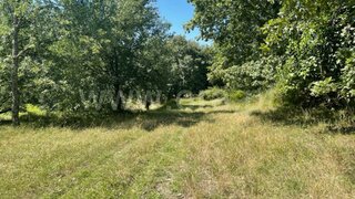 Land for sale in Mangualde, Portugal — €200,000