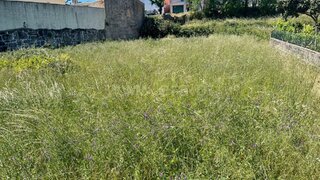 Land for sale in Mangualde, Portugal — €22,000